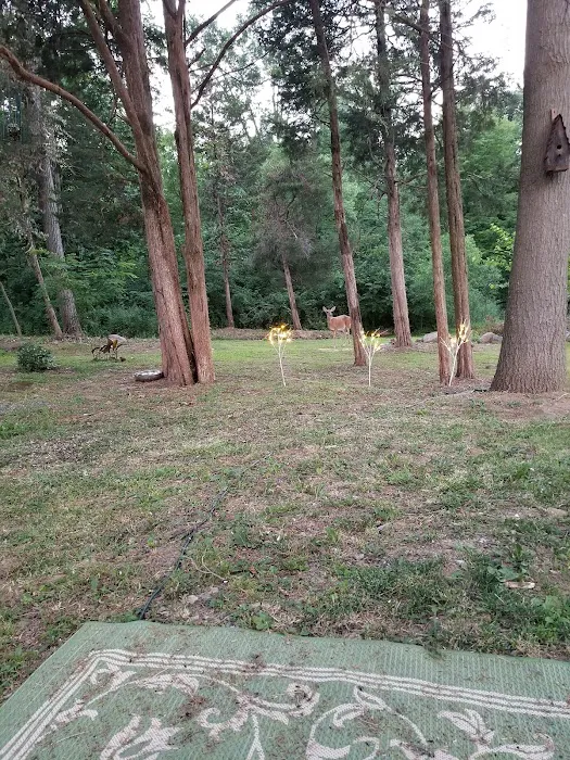 King's Campground Picture 9