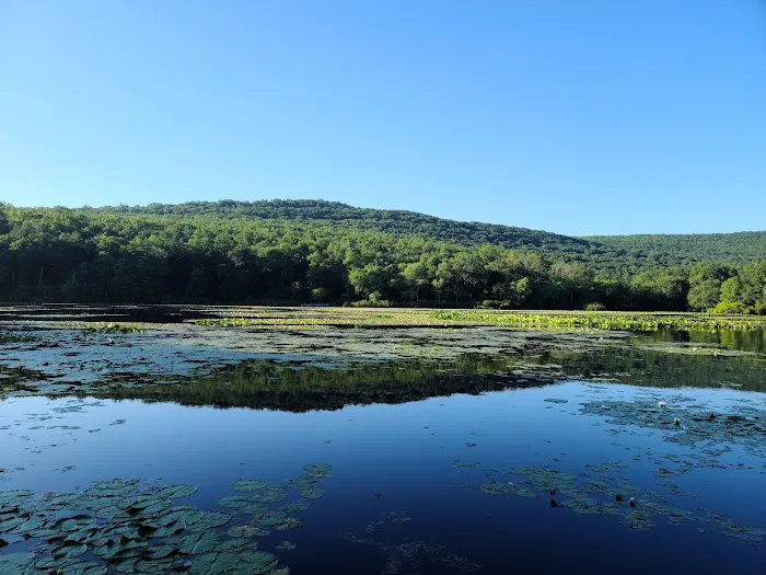 Pinegrove Furnace Group Campground Picture 6