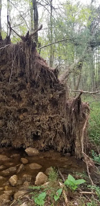 Pinegrove Furnace Group Campground Picture 4