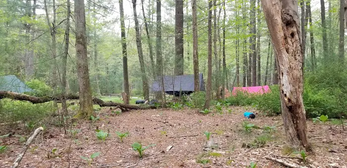 Pinegrove Furnace Group Campground Picture 5