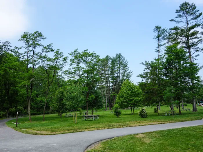Pinegrove Furnace Group Campground Picture 7