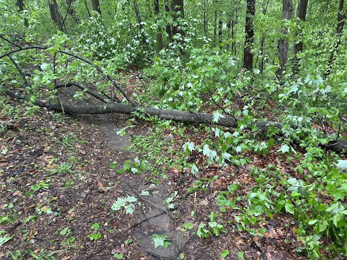 McCloskey Youth Campsite Picture 4