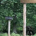 Leatherstocking Campsite