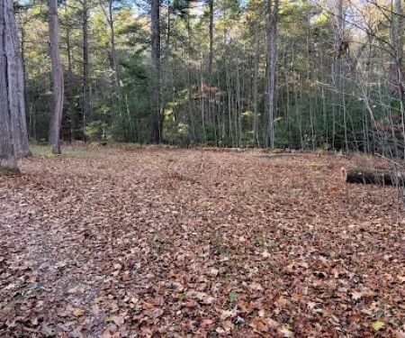 Campsite #88