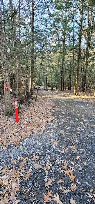 Campsite #88 Picture 2
