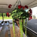 Dogwood Acres Campground Inc