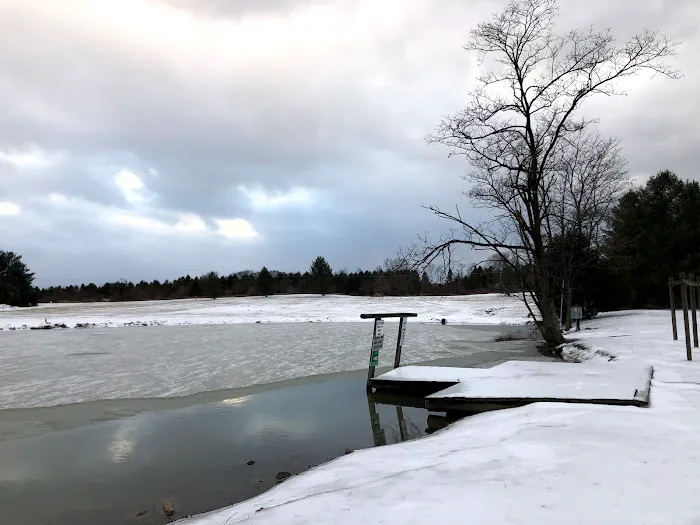 Dogwood Acres Campground Inc Picture 7