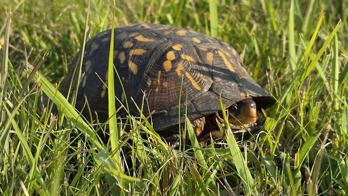 Back Roads Camping and Rv Resort Picture 5