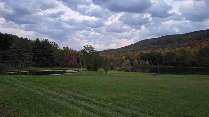 Back Roads Camping and Rv Resort Picture 9