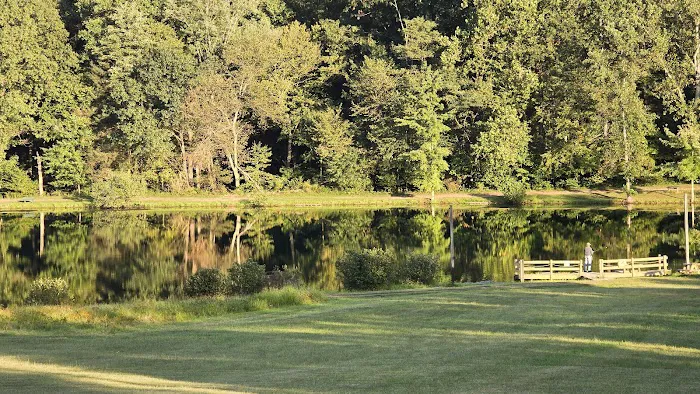 Back Roads Camping and Rv Resort Picture 7