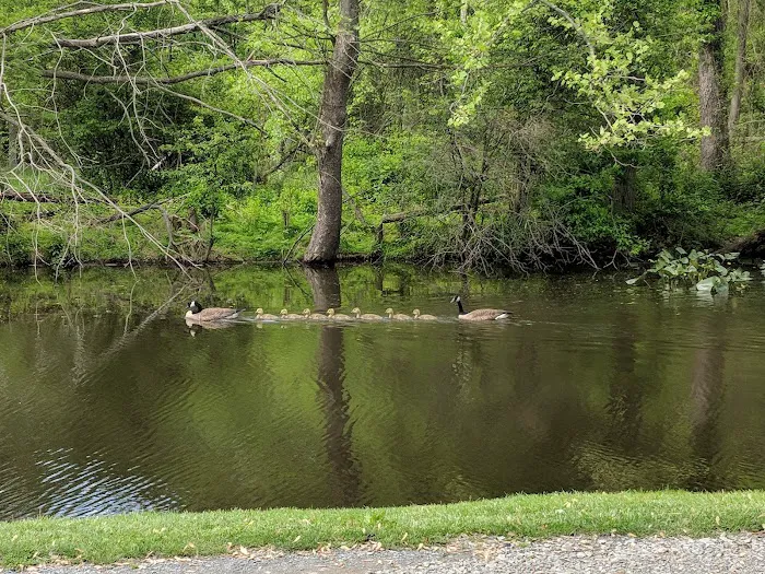 WaterSide Campground & RV Park Picture 10
