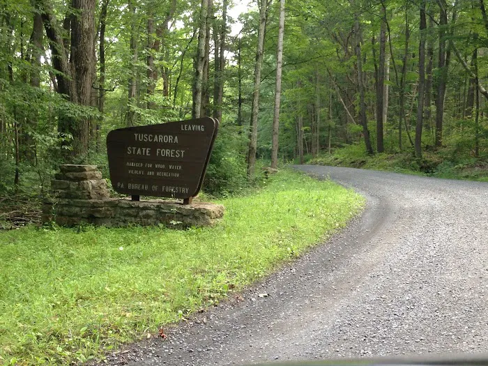 Tuscarora State Forest Campsite 9 Picture 6