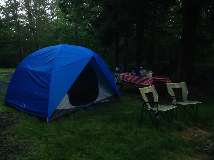 Tuscarora State Forest Campsite 9 Picture 3