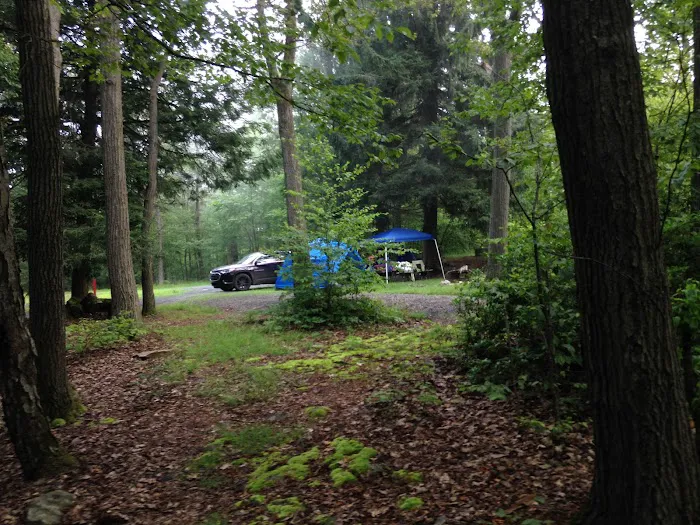 Tuscarora State Forest Campsite 9 Picture 4