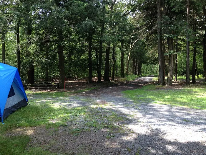 Tuscarora State Forest Campsite 9 Picture 1