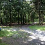 Tuscarora State Forest Campsite 9