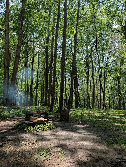 Campsite #92 Picture 2