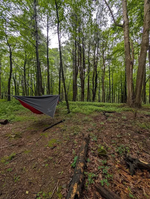 Campsite #92 Picture 1