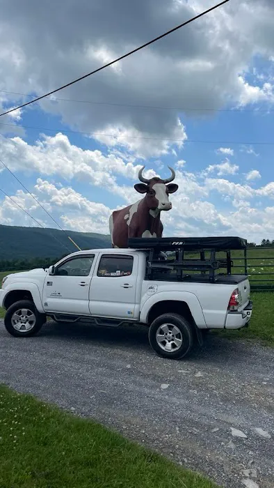 Big Cow Picture 1