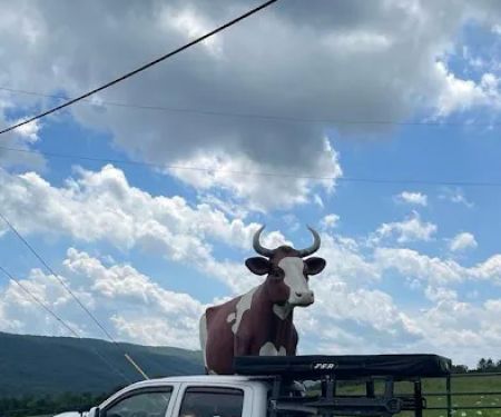 Big Cow
