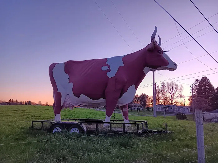 Big Cow Picture 7