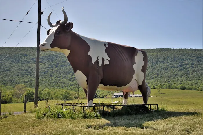 Big Cow Picture 3