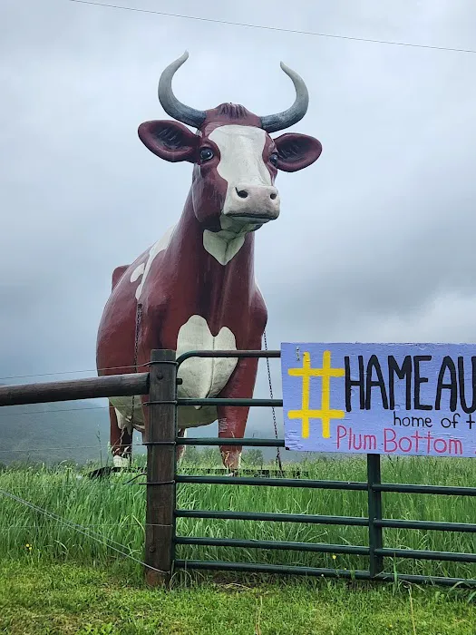 Big Cow Picture 8