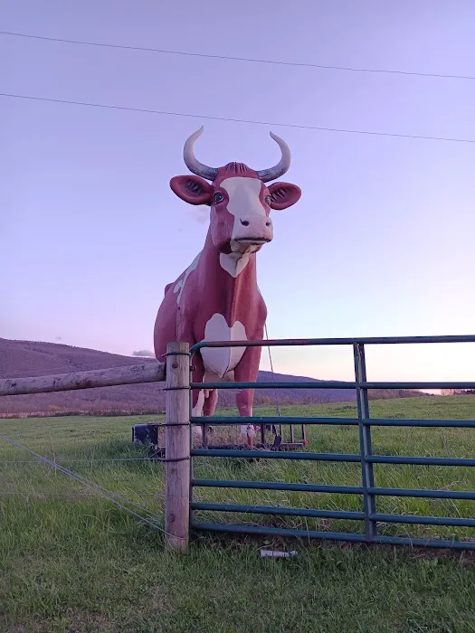 Big Cow Picture 10