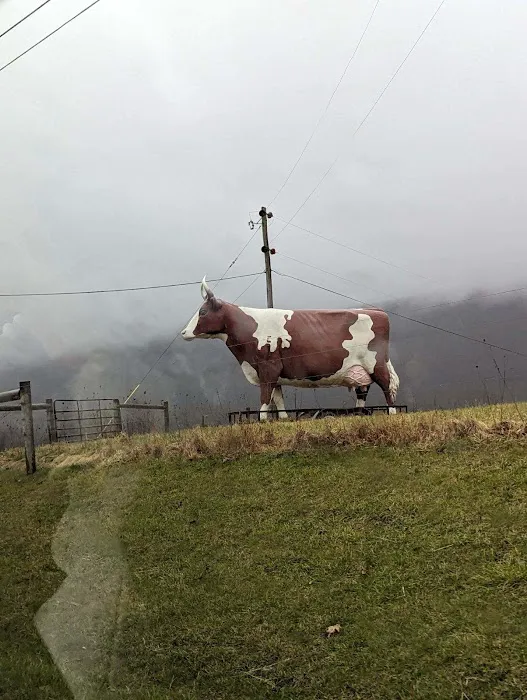 Big Cow Picture 9