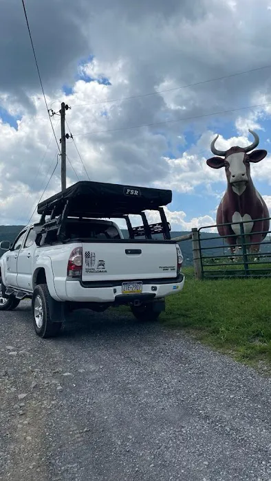 Big Cow Picture 4