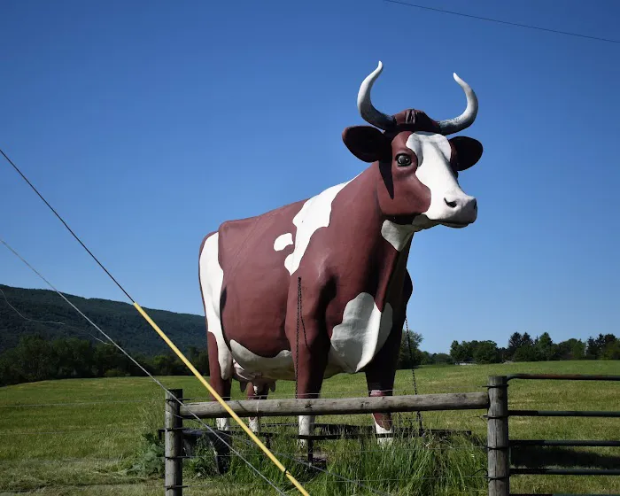 Big Cow Picture 6