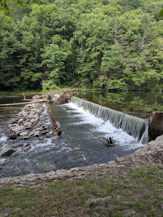 Lower Campground Kettle Creek State Park Picture 9