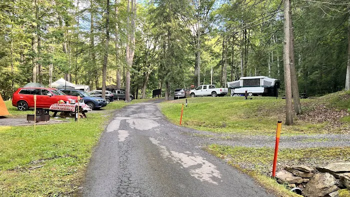 Lower Campground Kettle Creek State Park Picture 6