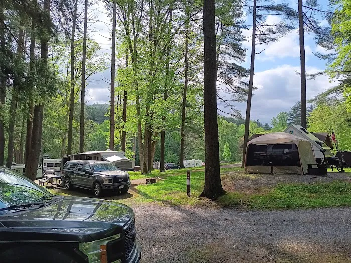 Campground at Sinnemahoning State Park Picture 3