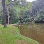 Camp Kaelber Mohan Run