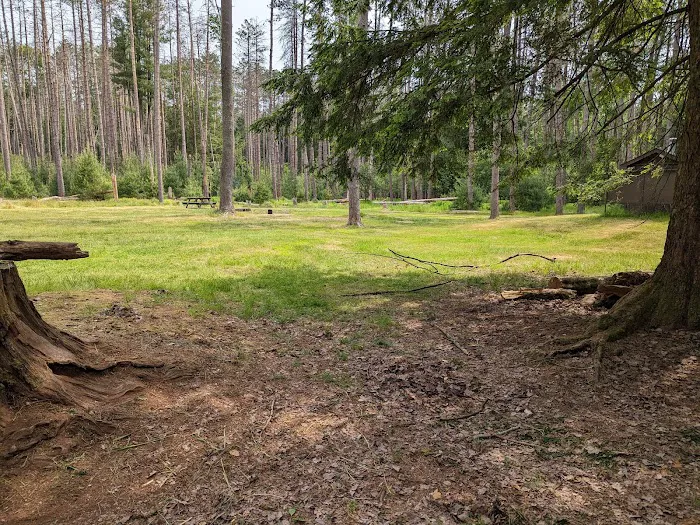 Cook Forest Group Sites Picture 2