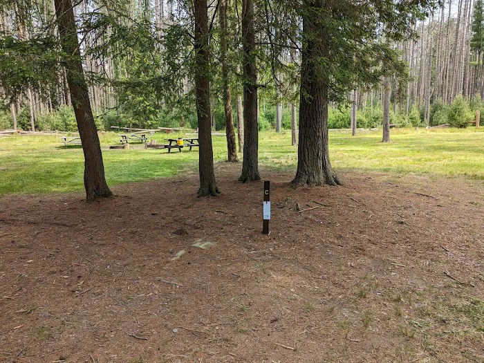 Cook Forest Group Sites Picture 3