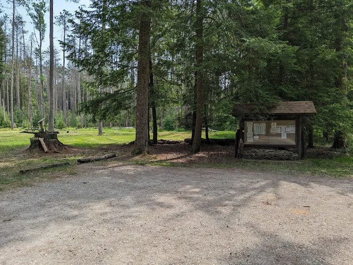 Cook Forest Group Sites Picture 6