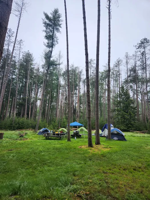 Cook Forest Group Sites Picture 8