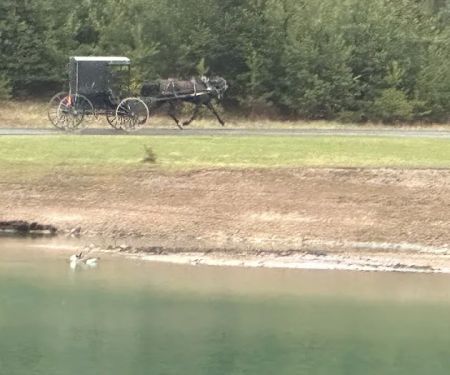 Lake Lucy RV Park