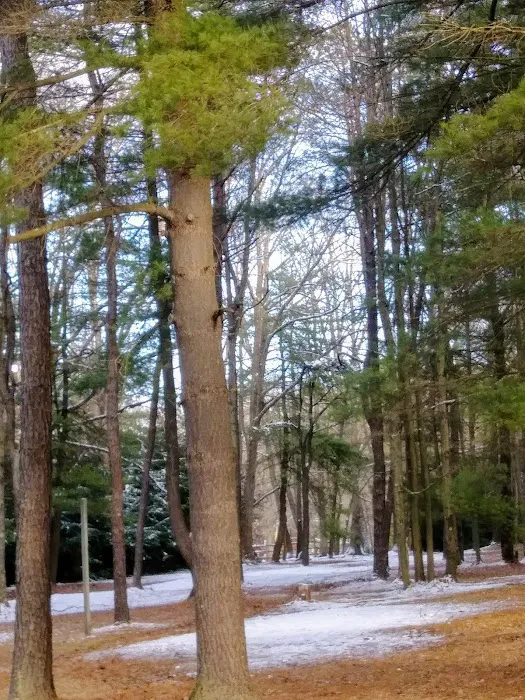 Double R Campground Picture 2