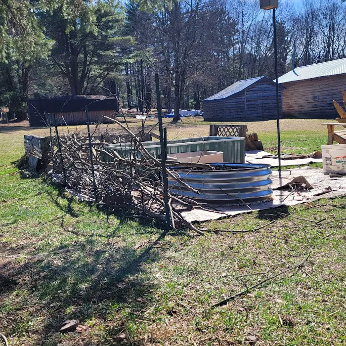 Phoenix Nest Picture 10