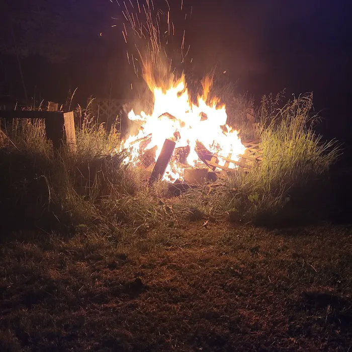 Phoenix Nest Picture 2
