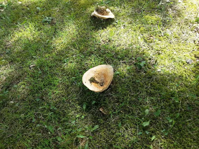 Brady Hills Mobile Home Park Picture 6