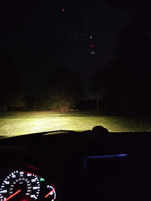 Bear Claw Campground Picture 4