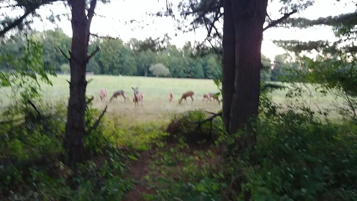 Bear Claw Campground Picture 1