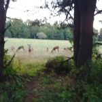 Bear Claw Campground