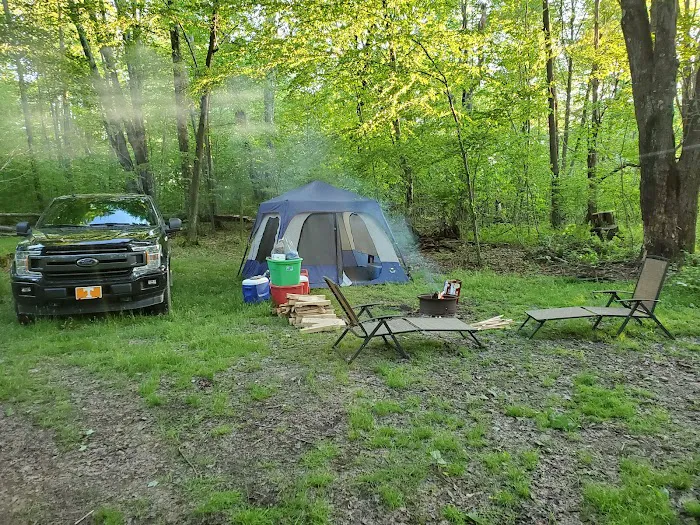 Bear Claw Campground Picture 10