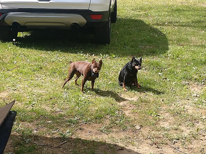 Marlowe's Scenic River Campground Picture 5