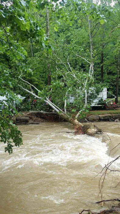 Marlowe's Scenic River Campground Picture 8